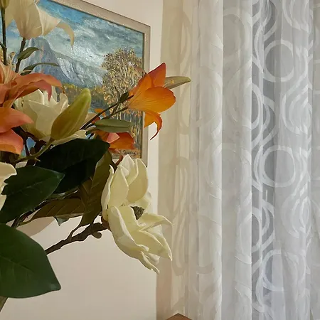 Bois Argentine By Aroom Vut-le-1079 León